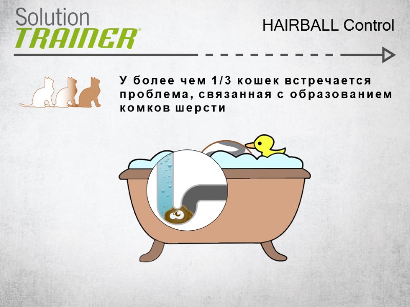 У более чем 1/3 кошек встречается проблема, связанная с образованием комков шерсти HAIRBALL Control